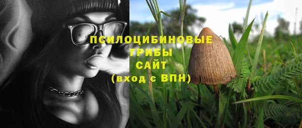 кристаллы Бородино
