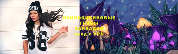индика Бугульма