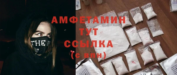 индика Бугульма