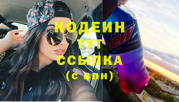 индика Бугульма