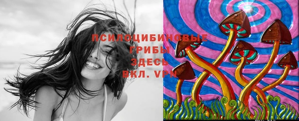 стафф Лиски