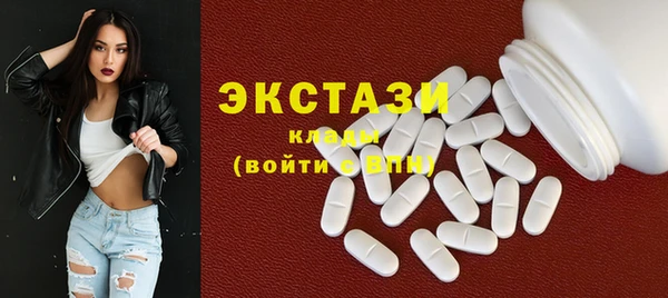 индика Бугульма