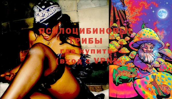 индика Бугульма
