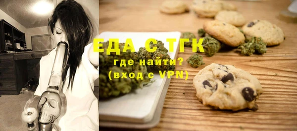 индика Бугульма