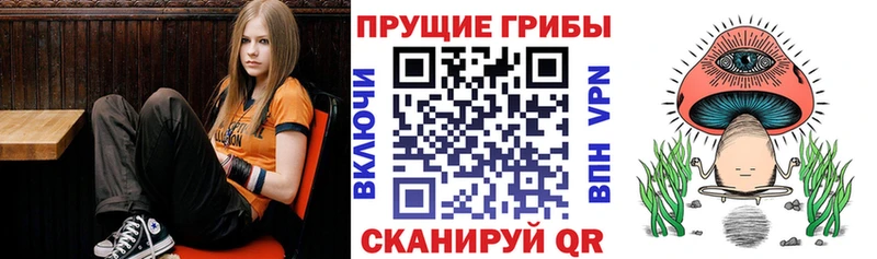 Псилоцибиновые грибы Cubensis  Дзержинский 